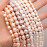 Freshwater Pearl Beads Rice Shape for Jewelry Making