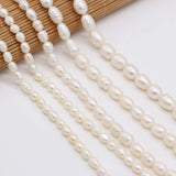 Freshwater Pearl Beads Rice Shape for Jewelry Making