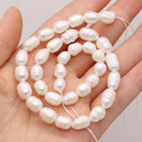 Freshwater Pearl Beads Rice Shape for Jewelry Making