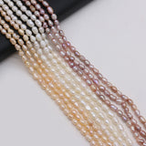 White Freshwater Pearl Bead Strands for Jewelry Making