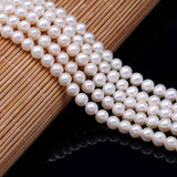 Freshwater Pearl Beads Round Ball Loose Beads for Jewelry Making