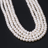 Natural Freshwater Pearl Beads Round Loose Isolated Beads