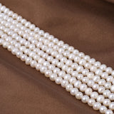 Natural Freshwater Pearl Beads Round Loose Isolated Beads