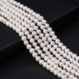 Natural Freshwater Pearl Beads Round Loose Isolated Beads