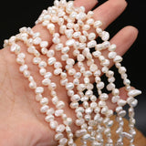 Freshwater Pearl Beads 3-7 Hole Loose Beads DIY Necklace Bracelet