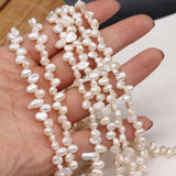Freshwater Pearl Beads 3-7 Hole Loose Beads DIY Necklace Bracelet
