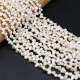 Freshwater Pearl Beads 3-7 Hole Loose Beads DIY Necklace Bracelet