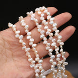 Freshwater Pearl Beads 3-7 Hole Loose Beads DIY Necklace Bracelet