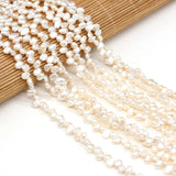 Freshwater Pearl Beads 3-7 Hole Loose Beads DIY Necklace Bracelet