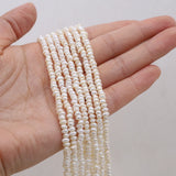 Natural Freshwater Pearl Beads Oblate Partial Hole Loose Pearls