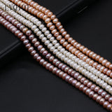 Orange Purple Flat Round Freshwater Pearls DIY Jewelry Making