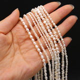 Natural Freshwater Pearl Beads Irregular Shapes DIY Charm Jewelry