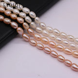 Freshwater Pearl High Punch Rice Beads Loose Pearls DIY Jewelry Making