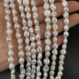 Natural Freshwater Pearl Irregular Coin Punch Loose Beads for DIY Jewelry