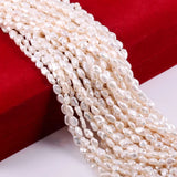 Natural Freshwater Pearl Charm Pearls Beads for DIY Necklace Bracelet 7x9mm