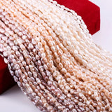 Natural Freshwater Pearl Charm Pearls Beads for DIY Necklace Bracelet 7x9mm