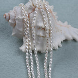 2.5-3mm Rice Shaped Loose Pearl Strand