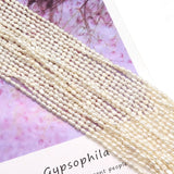 Natural Freshwater Pearl Loose Beads Rice Shaped for Jewelry Making