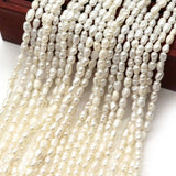 Natural Freshwater Pearl Loose Beads Rice Shaped for Jewelry Making