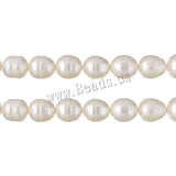 12-16mm Natural Freshwater Pearl Loose Beads 16" Strand