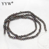 Freshwater Pearl Loose Beads 2-3mm 15 Inch Strand