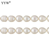 Natural Freshwater Pearl Loose Beads 12-16mm 0.8mm 16 Inch Strand