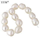 Natural Freshwater Pearl Loose Beads 12-16mm 0.8mm 16 Inch Strand