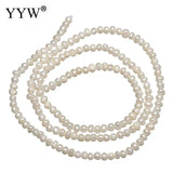 Natural Freshwater Pearl Loose Beads 2-3mm 15-Inch Strand