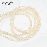 Natural Freshwater Pearl Loose Beads 2-3mm for Jewelry Making