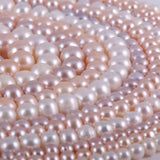 Freshwater Pearl Round Beads 36cm DIY Jewelry Craft Accessory