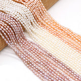 Freshwater Pearl Mini Rice Beads Necklace DIY 36cm