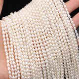 Freshwater Pearl Mini Rice Beads Necklace DIY 36cm