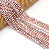 Freshwater Pearl Mini Rice Beads Necklace DIY 36cm