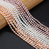 Freshwater Pearl Mini Rice Beads Necklace DIY 36cm