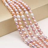 Freshwater Pearl Mix-Color Rice-Shaped Beads 8-9mm DIY Jewelry Making