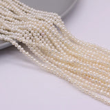 Freshwater Pearl Near Round Beads 3-3.5mm for DIY Jewelry Making