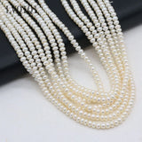 Freshwater Pearl Oval Abacus Beads 4-5mm