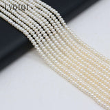 Freshwater Pearl Oval Abacus Beads 4-5mm