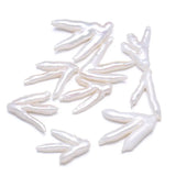Natural Freshwater Pearl Pendant Punch Loose Beads for DIY Jewelry Making