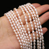 Natural Freshwater Pearl Rice Bead Ladies Beaded Necklace Bracelet DIY Jewelry