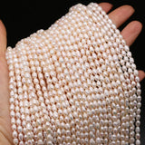 Natural Freshwater Pearl Rice Bead Ladies Beaded Necklace Bracelet DIY Jewelry