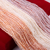 Freshwater Pearl Rice Beads for Jewelry Making