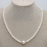 Freshwater Pearl Shell Mother Plant Flat Round Necklace Pendant