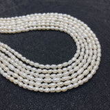 Natural Freshwater Pearl Spacer Beads High Loose Beads 3mm