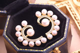 Freshwater Pearl Stud Earrings Women Cultured Pearl Jewelry