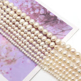 100% Loose Pearl DIY Jewelry Necklace Bracelet 7-13mm
