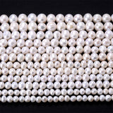 Natural Freshwater Pearl Irregular Oval Shape Spacer Bead