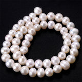 Natural Freshwater Pearl Irregular Oval Shape Spacer Bead