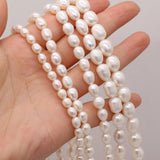 Freshwater Pearl Pink Purple Rice Beads for Jewelry Making DIY Bracelet Necklace