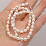 Freshwater Pearl Pink Purple Rice Beads for Jewelry Making DIY Bracelet Necklace
